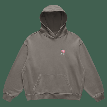gtr and teslas hoodie gray